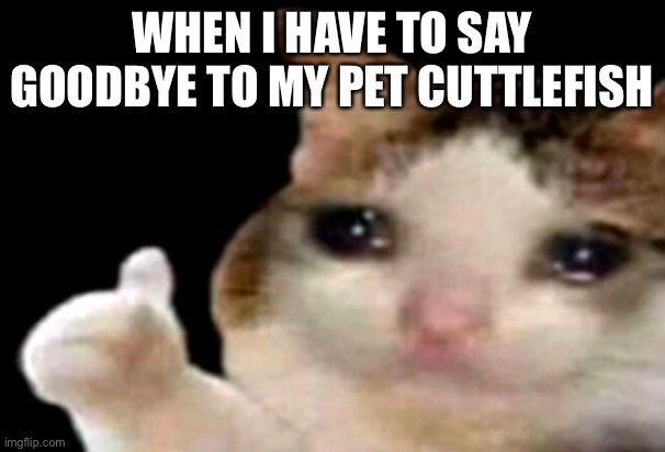 By far the saddest thing in subnautica | WHEN I HAVE TO SAY GOODBYE TO MY PET CUTTLEFISH | image tagged in sad cat thumbs up | made w/ Imgflip meme maker