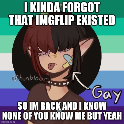 :) | I KINDA FORGOT THAT IMGFLIP EXISTED; SO IM BACK AND I KNOW NONE OF YOU KNOW ME BUT YEAH | image tagged in hi im jamey | made w/ Imgflip meme maker