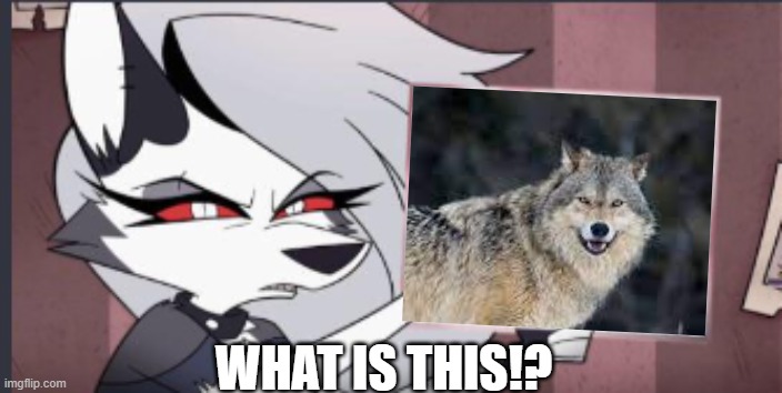 what is this | WHAT IS THIS!? | image tagged in sign | made w/ Imgflip meme maker