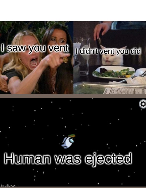 Really? -_- |  I saw you vent; I didn't vent you did; Human was ejected | image tagged in memes,woman yelling at cat,funny memes,vent,among us,among us ejected | made w/ Imgflip meme maker