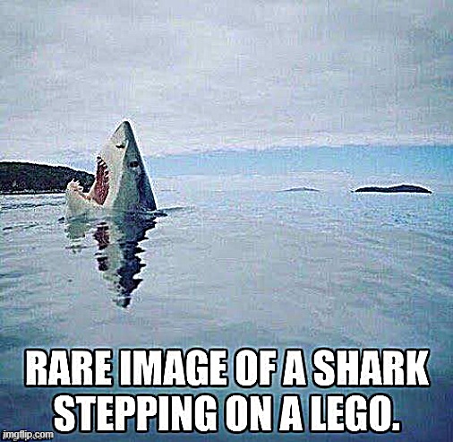 I truly feel for this shark! OUCH! | image tagged in funny,lego,shark,upvote | made w/ Imgflip meme maker