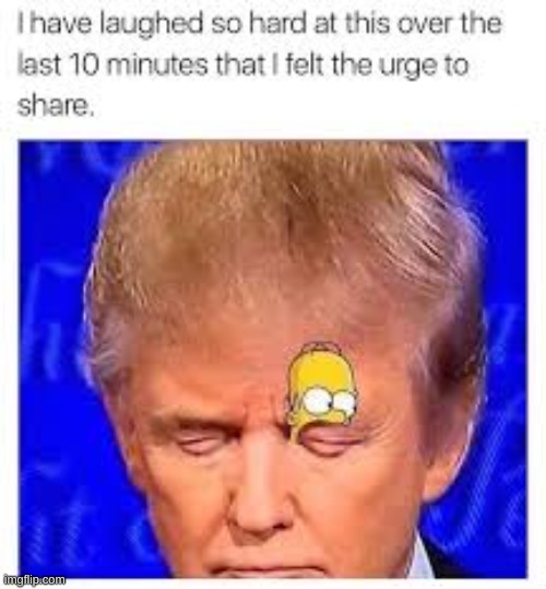 Mmmm Homer's lips are now the closed eyes.... | image tagged in homer | made w/ Imgflip meme maker