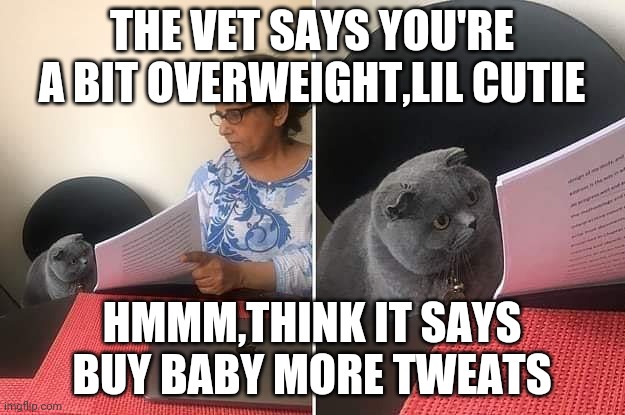Woman showing paper to cat |  THE VET SAYS YOU'RE A BIT OVERWEIGHT,LIL CUTIE; HMMM,THINK IT SAYS BUY BABY MORE TWEATS | image tagged in woman showing paper to cat | made w/ Imgflip meme maker