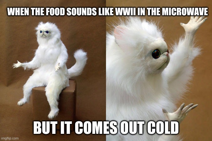 Persian Cat Room Guardian |  WHEN THE FOOD SOUNDS LIKE WWII IN THE MICROWAVE; BUT IT COMES OUT COLD | image tagged in memes,persian cat room guardian | made w/ Imgflip meme maker