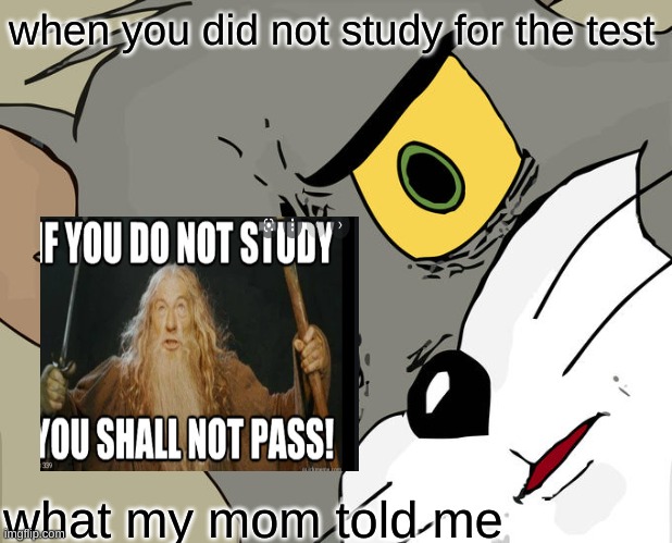 Unsettled Tom | when you did not study for the test; what my mom told me | image tagged in memes,unsettled tom | made w/ Imgflip meme maker