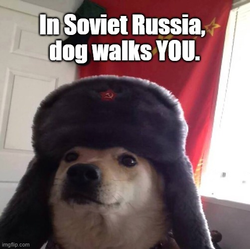In Soviet Russia, dog walks YOU (an homage to Yakov Smirnoff). ;) |  In Soviet Russia, 
dog walks YOU. | image tagged in memes,funny memes,political memes,in soviet russia,funny dogs,yakov smirnoff | made w/ Imgflip meme maker