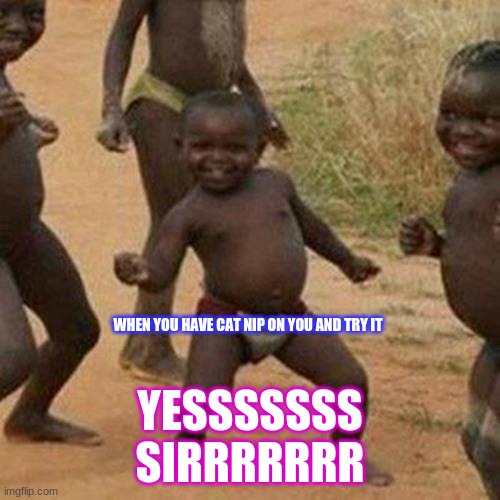 Third World Success Kid | YESSSSSSS SIRRRRRRR; WHEN YOU HAVE CAT NIP ON YOU AND TRY IT | image tagged in memes,third world success kid | made w/ Imgflip meme maker