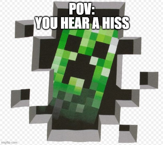 HHHHHHHHHHSSSSSSSSSSS | POV:; YOU HEAR A HISS | image tagged in minecraft creeper | made w/ Imgflip meme maker