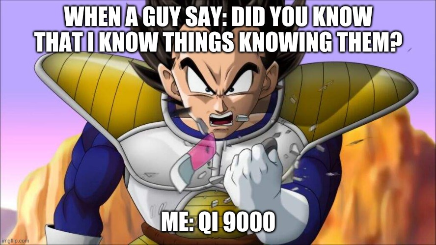 Over 9000! | WHEN A GUY SAY: DID YOU KNOW THAT I KNOW THINGS KNOWING THEM? ME: QI 9000 | image tagged in over 9000 | made w/ Imgflip meme maker