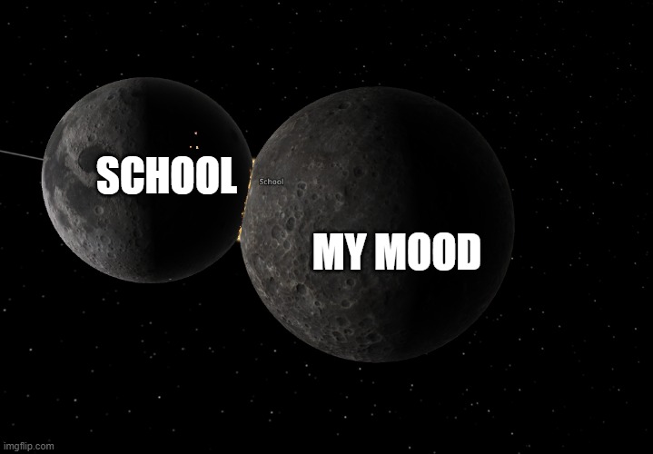 School be like | MY MOOD; SCHOOL | image tagged in school | made w/ Imgflip meme maker