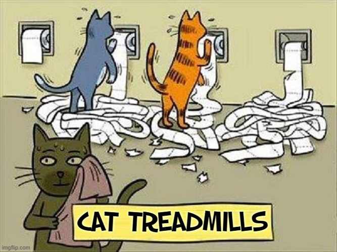 Cats will exercise a lot —given the right equipment | CAT TREADMILLS | image tagged in vince vance,cats,exercise,treadmill,memes,i love cats | made w/ Imgflip meme maker