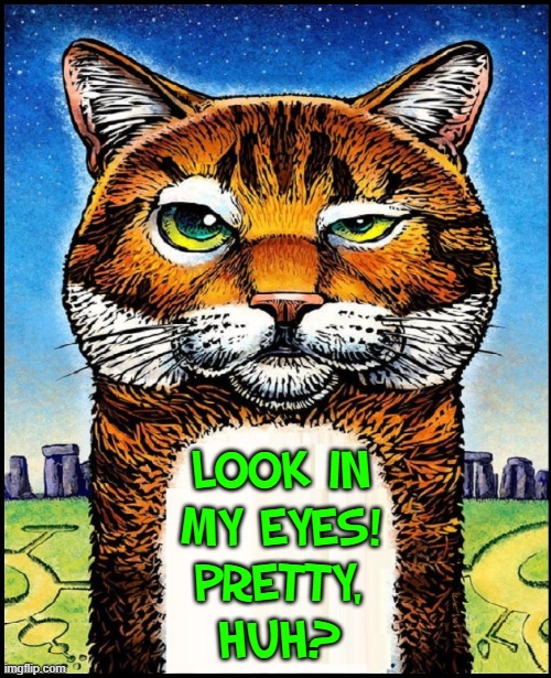 Beware of the Hypnotic Kitty | LOOK IN
MY EYES! PRETTY,
HUH? | image tagged in vince vance,hypnosis,cats,memes,meow,i love cats | made w/ Imgflip meme maker