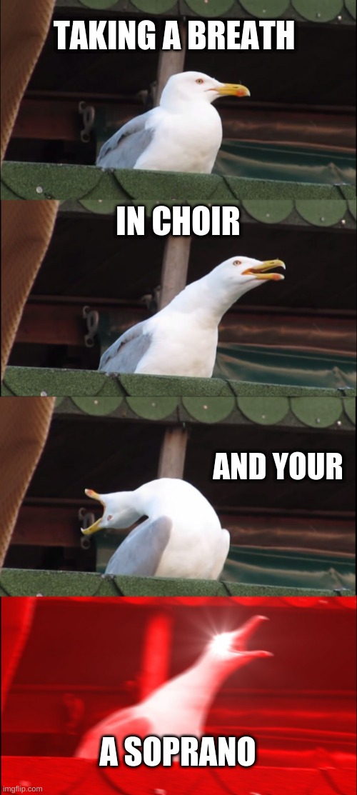 Inhaling Seagull | TAKING A BREATH; IN CHOIR; AND YOUR; A SOPRANO | image tagged in memes,inhaling seagull | made w/ Imgflip meme maker