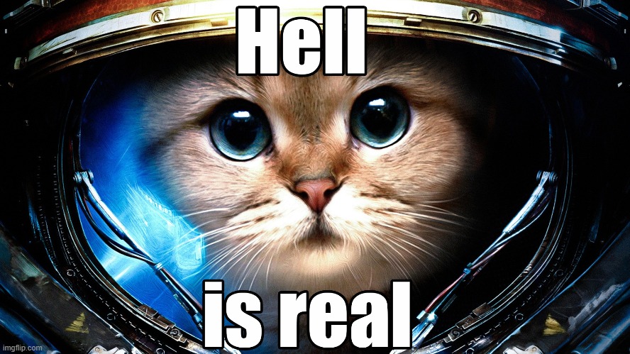Catstronaut | image tagged in vince vance,cats,astronaut,kitten,memes,meow | made w/ Imgflip meme maker