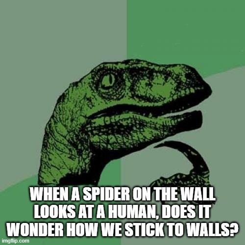 Philosoraptor | WHEN A SPIDER ON THE WALL LOOKS AT A HUMAN, DOES IT WONDER HOW WE STICK TO WALLS? | image tagged in memes,philosoraptor | made w/ Imgflip meme maker