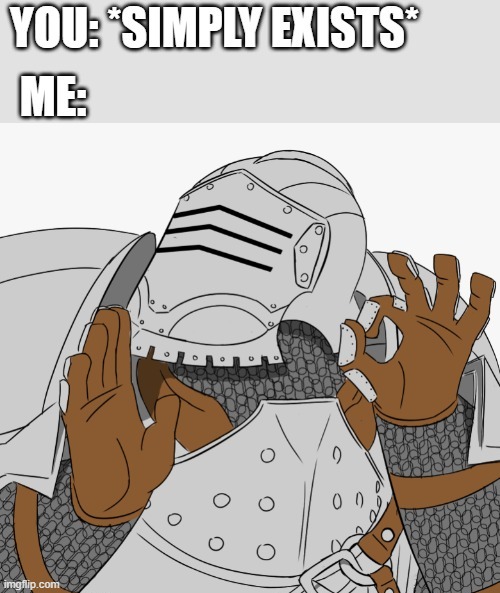 just right | image tagged in crusader,wholesome | made w/ Imgflip meme maker