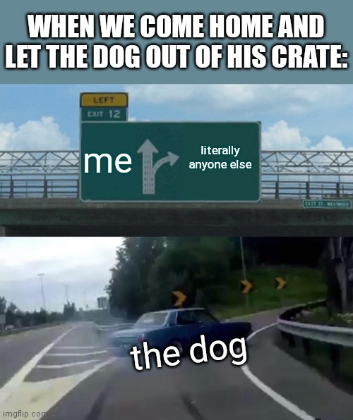 When You're The Dog's Least Favorite | WHEN WE COME HOME AND LET THE DOG OUT OF HIS CRATE:; me; literally anyone else; the dog | image tagged in left exit 12 off ramp,dogs | made w/ Imgflip meme maker