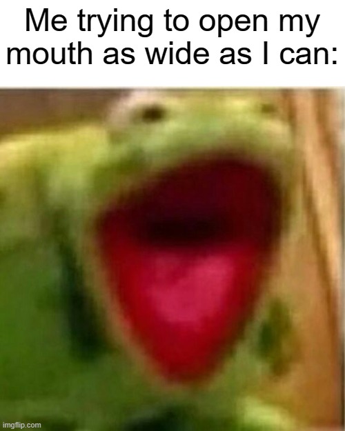 don't break your jaw, kermi | Me trying to open my mouth as wide as I can: | image tagged in ahhhhhhhhhhhhh,kermit the frog,kermit,screaming,scream | made w/ Imgflip meme maker