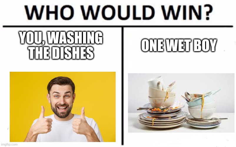 dishes | YOU, WASHING THE DISHES; ONE WET BOY | image tagged in memes,who would win | made w/ Imgflip meme maker