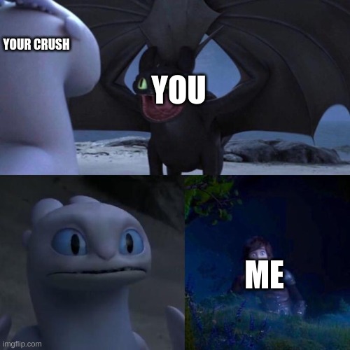 Toothless presents himself | YOU ME YOUR CRUSH | image tagged in toothless presents himself | made w/ Imgflip meme maker