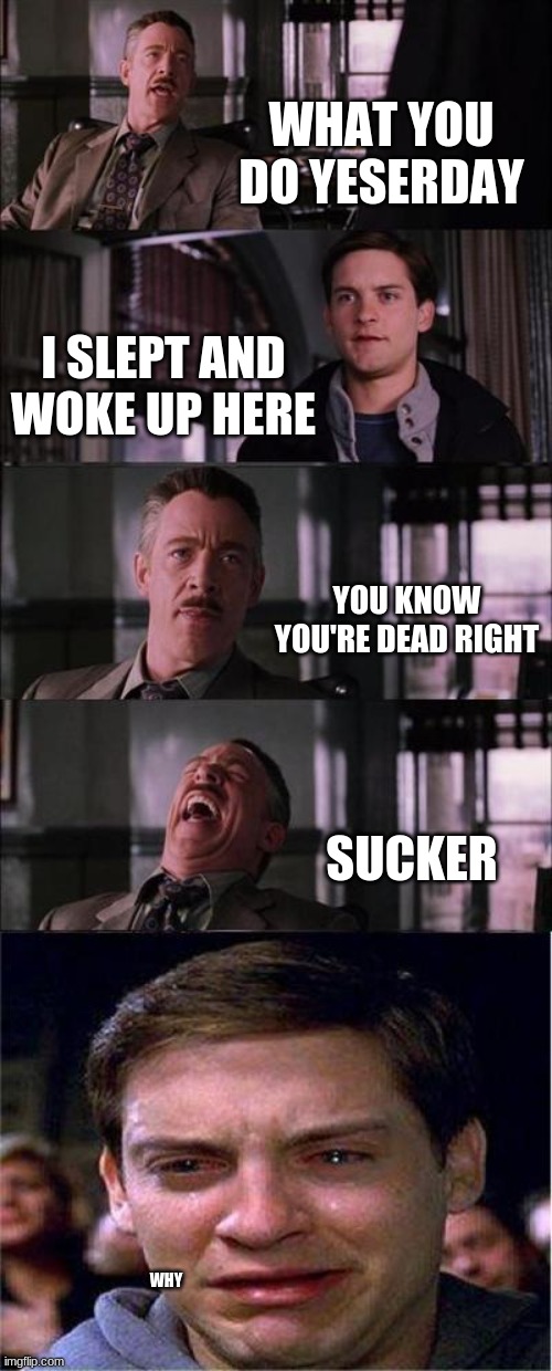 Peter Parker Cry | WHAT YOU DO YESERDAY; I SLEPT AND WOKE UP HERE; YOU KNOW YOU'RE DEAD RIGHT; SUCKER; WHY | image tagged in memes,peter parker cry | made w/ Imgflip meme maker