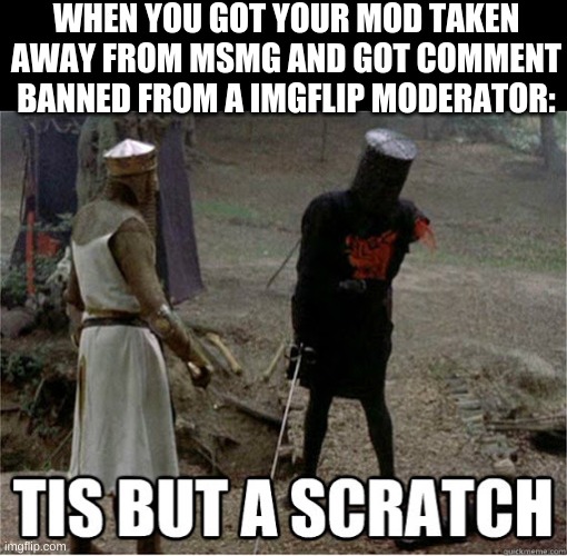 tis but a scratch | WHEN YOU GOT YOUR MOD TAKEN AWAY FROM MSMG AND GOT COMMENT BANNED FROM A IMGFLIP MODERATOR: | image tagged in tis but a scratch | made w/ Imgflip meme maker