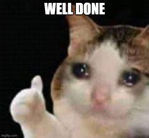 Approved crying cat | WELL DONE | image tagged in approved crying cat | made w/ Imgflip meme maker