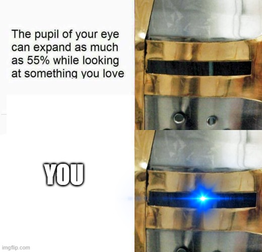 you're amazing | YOU | image tagged in crusader,wholesome | made w/ Imgflip meme maker