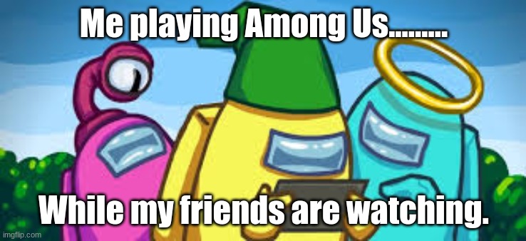 Among us. | Me playing Among Us......... While my friends are watching. | image tagged in among us | made w/ Imgflip meme maker