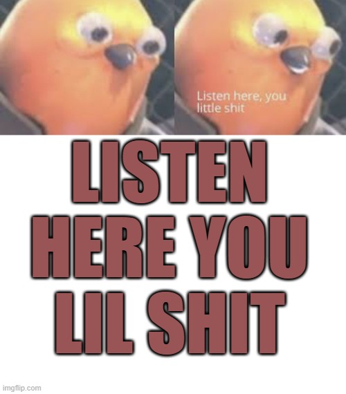 LISTEN HERE YOU LIL SHIT | image tagged in listen here you little shit bird,blank white template | made w/ Imgflip meme maker