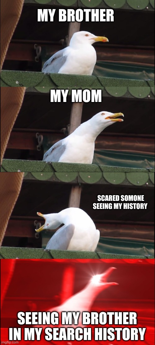 Inhaling Seagull | MY BROTHER; MY MOM; SCARED SOMONE SEEING MY HISTORY; SEEING MY BROTHER IN MY SEARCH HISTORY | image tagged in memes,inhaling seagull | made w/ Imgflip meme maker