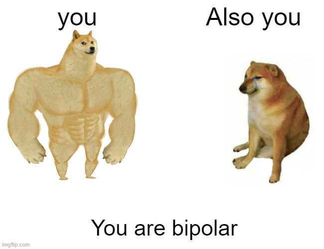 Buff Doge vs. Cheems | you; Also you; You are bipolar | image tagged in memes,buff doge vs cheems | made w/ Imgflip meme maker