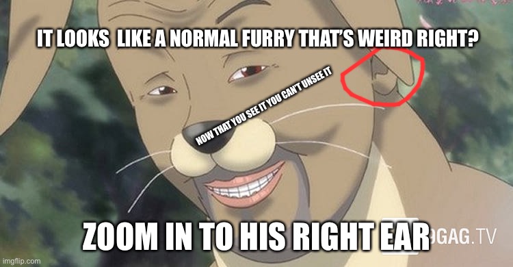 Now you see it  and you can’t unsee it | IT LOOKS  LIKE A NORMAL FURRY THAT’S WEIRD RIGHT? NOW THAT YOU SEE IT YOU CAN’T UNSEE IT; ZOOM IN TO HIS RIGHT EAR | image tagged in weird anime hentai furry | made w/ Imgflip meme maker
