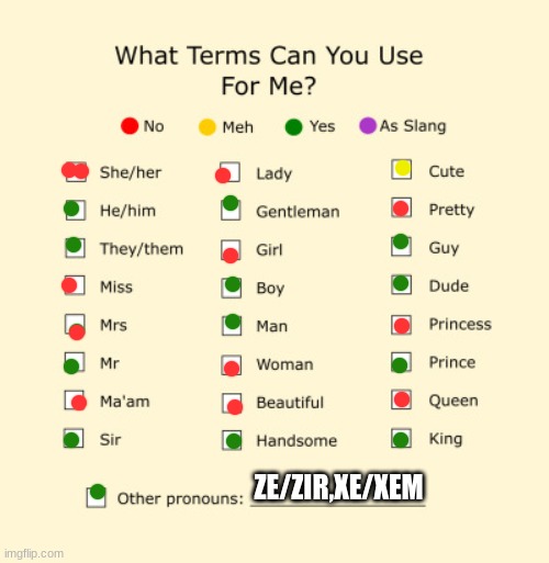 please accept my pronouns! | ZE/ZIR,XE/XEM | image tagged in pronouns sheet | made w/ Imgflip meme maker