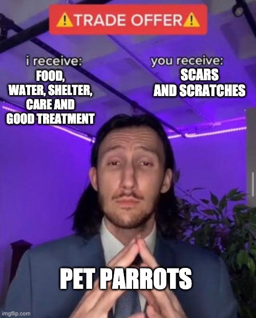 i receive you receive | SCARS AND SCRATCHES; FOOD, WATER, SHELTER, CARE AND GOOD TREATMENT; PET PARROTS | image tagged in i receive you receive | made w/ Imgflip meme maker