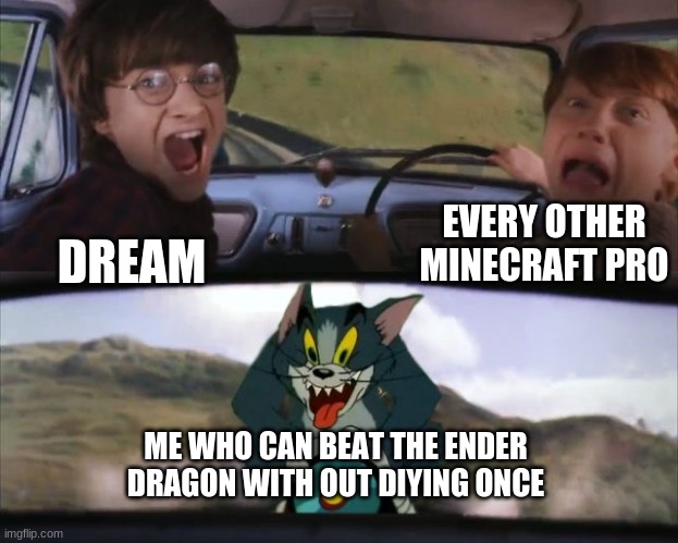 insert funny remark | EVERY OTHER MINECRAFT PRO; DREAM; ME WHO CAN BEAT THE ENDER DRAGON WITH OUT DIYING ONCE | image tagged in tom chasing harry and ron weasly | made w/ Imgflip meme maker