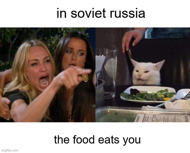 Woman Yelling At Cat | in soviet russia; the food eats you | image tagged in memes,woman yelling at cat | made w/ Imgflip meme maker