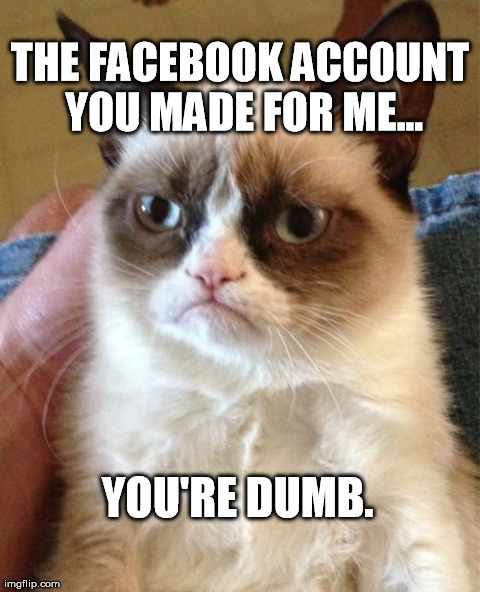 Grumpy Cat | THE FACEBOOK ACCOUNT YOU MADE FOR ME... YOU'RE DUMB. | image tagged in memes,grumpy cat | made w/ Imgflip meme maker