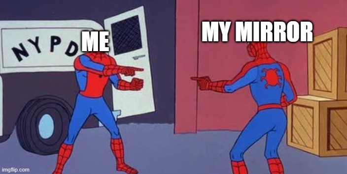 Spider Man Double | MY MIRROR; ME | image tagged in spider man double | made w/ Imgflip meme maker