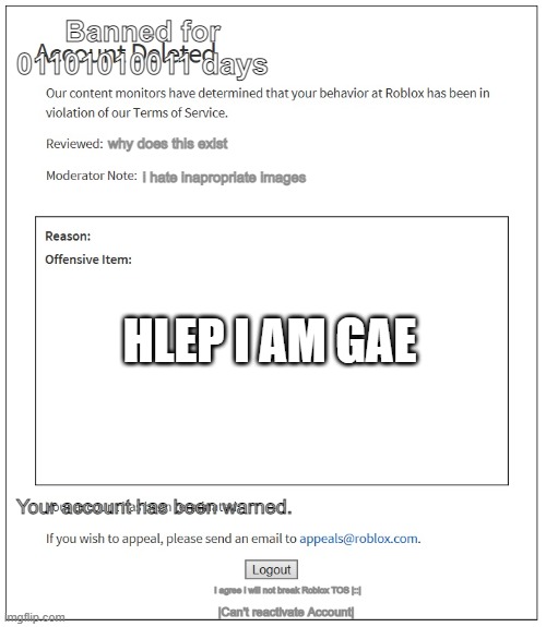 s | Banned for 01101010011 days; why does this exist; i hate inapropriate images; HLEP I AM GAE; Your account has been warned. I agree i will not break Roblox TOS |::|; |Can't reactivate Account| | image tagged in banned from roblox | made w/ Imgflip meme maker