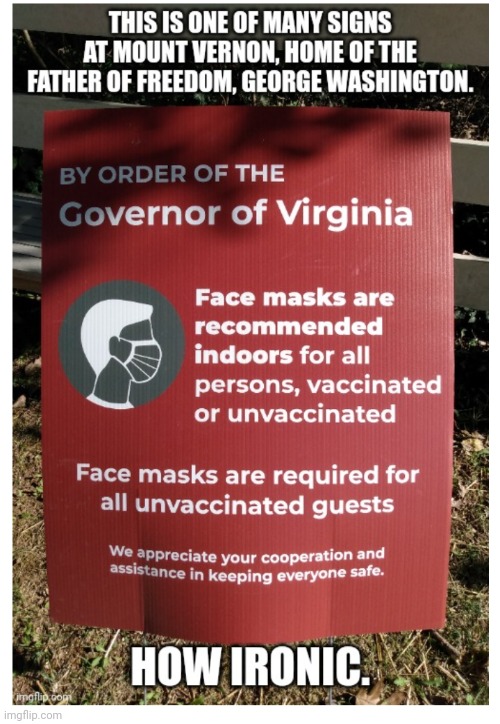 Mount Vernon | image tagged in george washington,mask,democrats,libtards,ralph northam,virginia | made w/ Imgflip meme maker