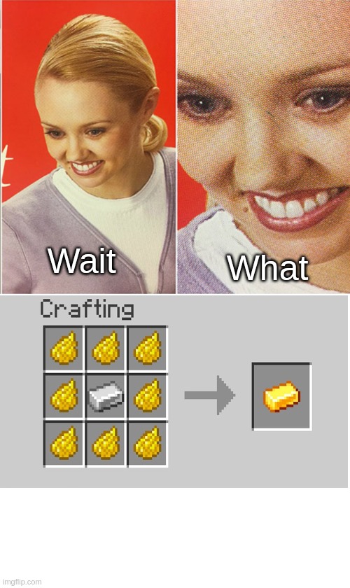 Wait What | What; Wait | image tagged in wait what,minecraft wird | made w/ Imgflip meme maker