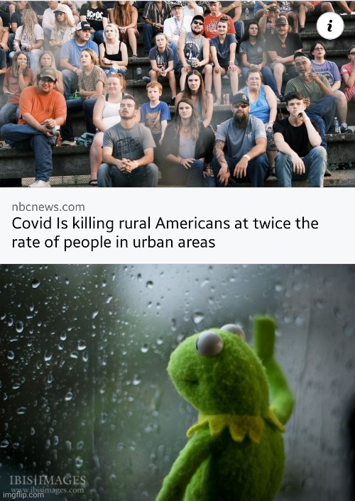 :'( | image tagged in kermit window,coronavirus,covid-19,memes,so sad,why | made w/ Imgflip meme maker