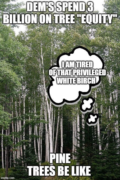 # billion for " tree equity" | DEM'S SPEND 3 BILLION ON TREE "EQUITY"; PINE TREES BE LIKE | made w/ Imgflip meme maker