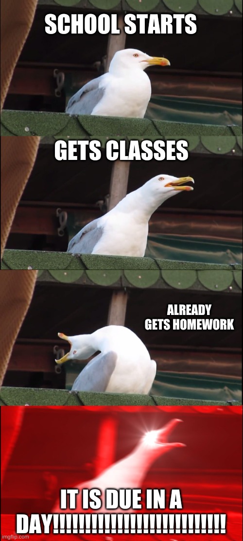 School | SCHOOL STARTS; GETS CLASSES; ALREADY GETS HOMEWORK; IT IS DUE IN A DAY!!!!!!!!!!!!!!!!!!!!!!!!!!! | image tagged in memes,inhaling seagull | made w/ Imgflip meme maker