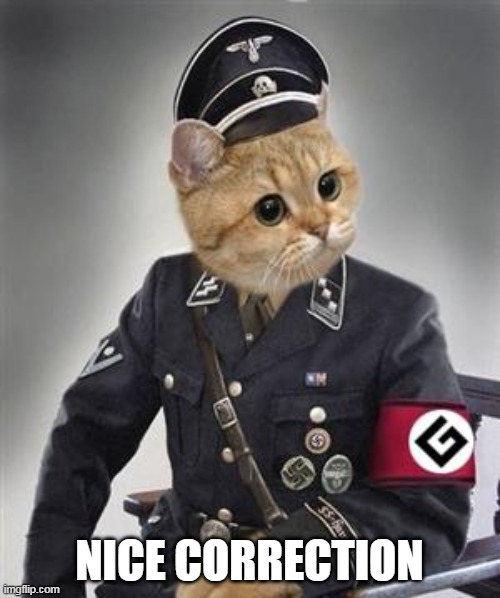 Grammar Nazi Cat | NICE CORRECTION | image tagged in grammar nazi cat | made w/ Imgflip meme maker