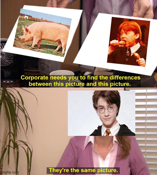 They're The Same Picture | image tagged in memes,they're the same picture | made w/ Imgflip meme maker