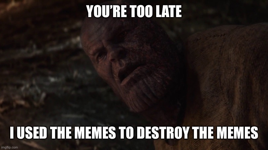 i used the stones to destroy the stones | YOU’RE TOO LATE I USED THE MEMES TO DESTROY THE MEMES | image tagged in i used the stones to destroy the stones | made w/ Imgflip meme maker