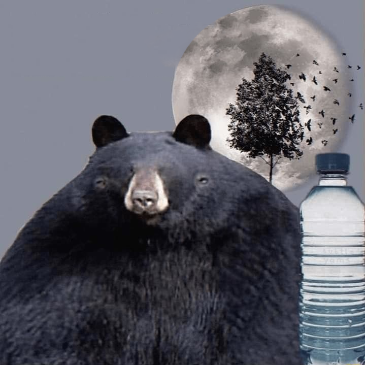 Hydrate Threat Bear Blank Meme Template