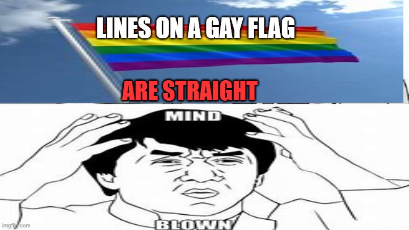 Gay flag be trippin | LINES ON A GAY FLAG; ARE STRAIGHT | image tagged in funny memes | made w/ Imgflip meme maker